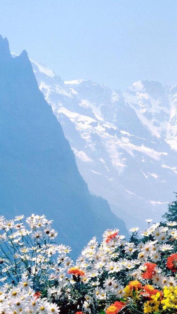 красивые горные пейзажи