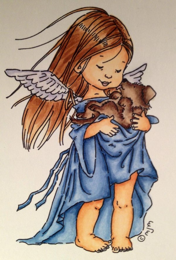 милые ангелочки