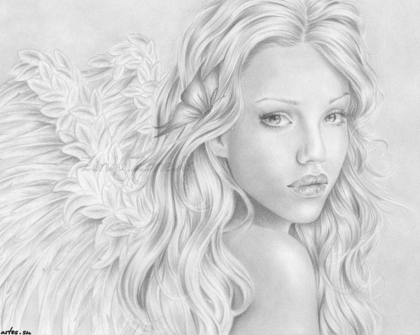 красивые рисунки