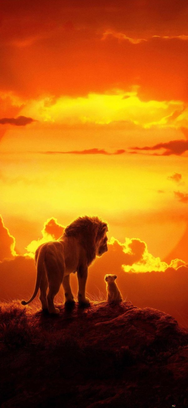 король лев the lion king