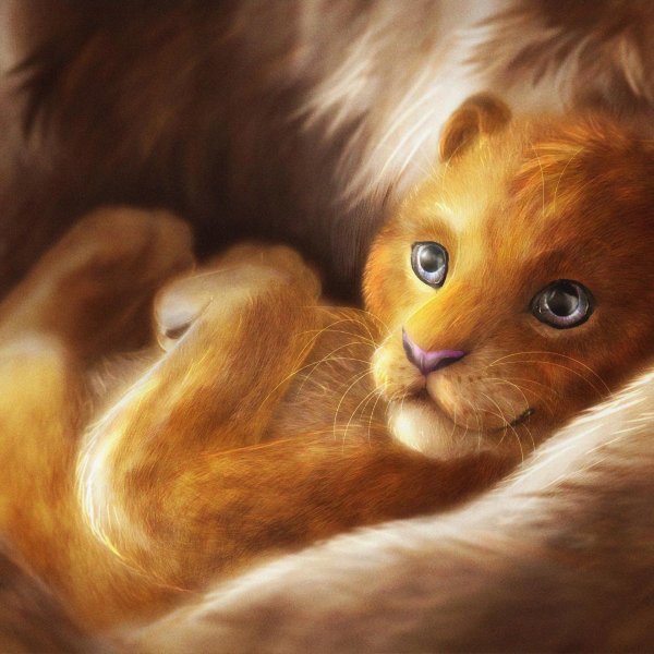 симба львенок