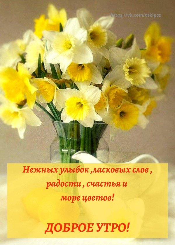 букет нарциссов