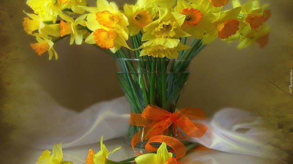 букет нарциссов