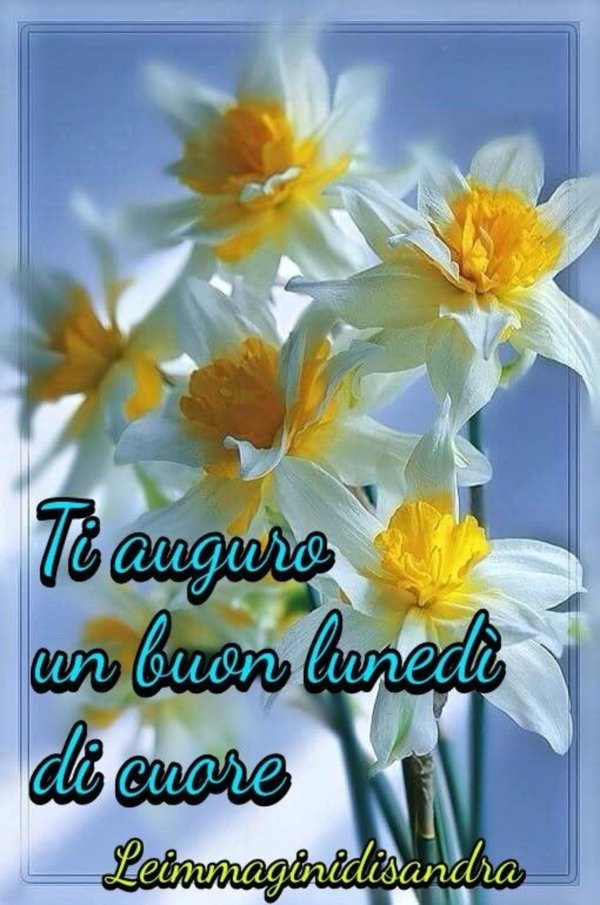 доброе утро с нарциссами