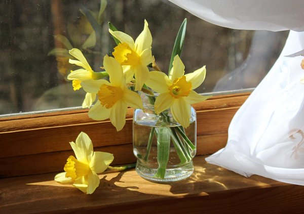 букет нарциссов