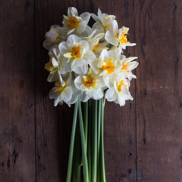 букет нарциссов