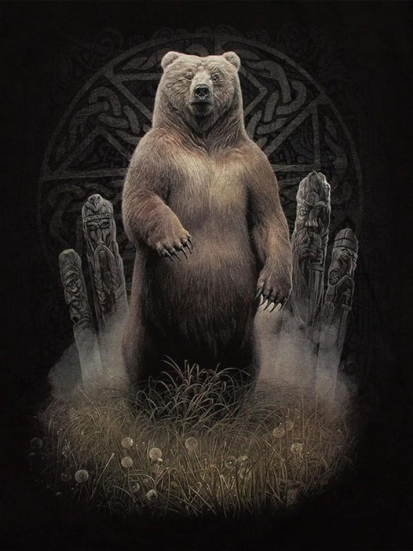 славянский медведь
