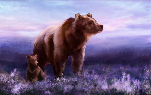 художниканималист бонни марис