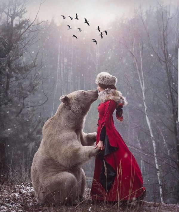 фотосессия с медведем