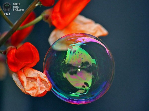 мыльные пузыри