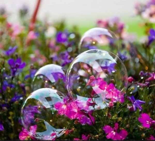 мыльные пузыри