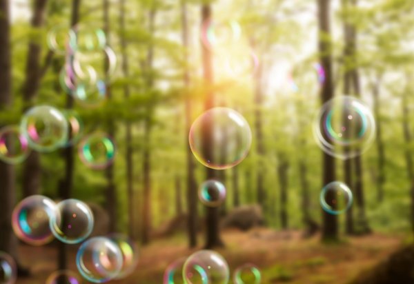 пузыри в природе