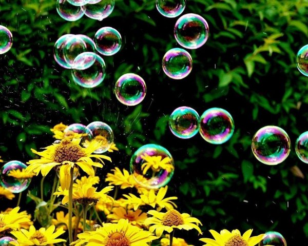 лето мыльных пузырей