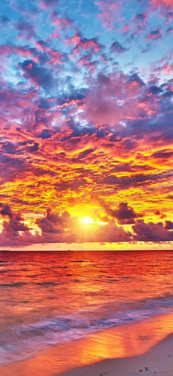 яркий закат