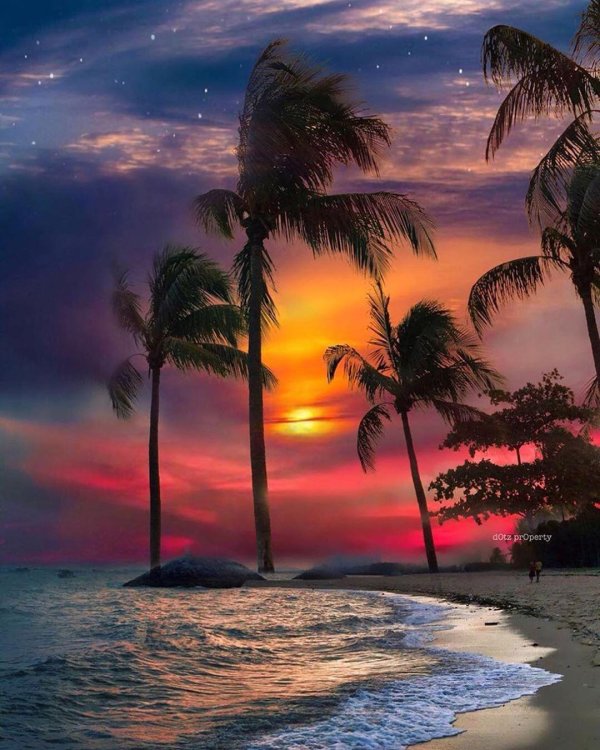 тропические закаты