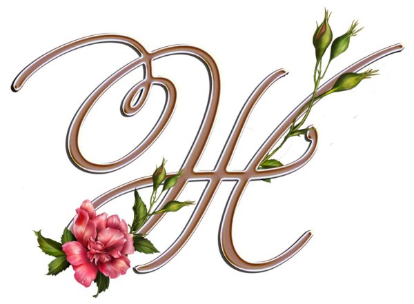 красивые буквы с цветами