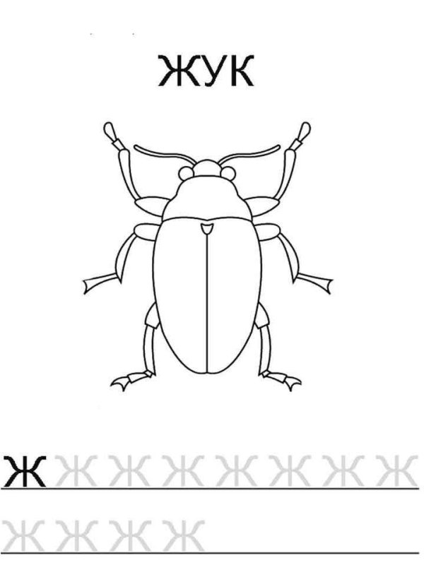 раскраска жук