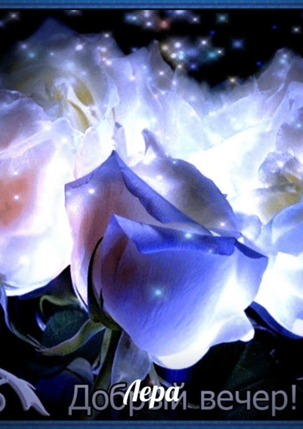 цветы красивая