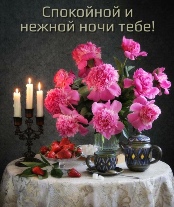 цветы вечером