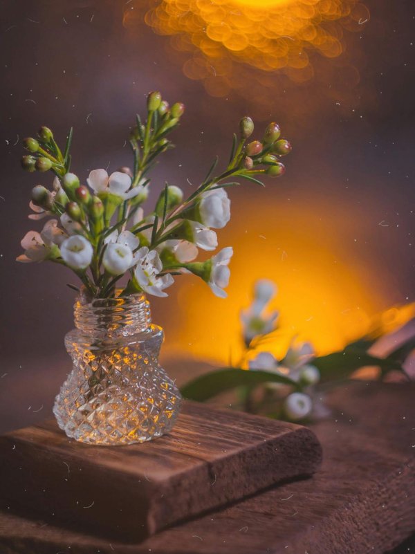 весенний натюрморт