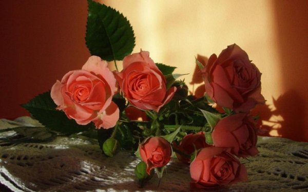 роза открытка