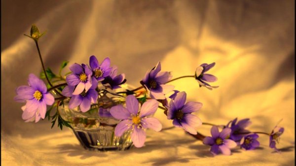 натюрморт цветочный