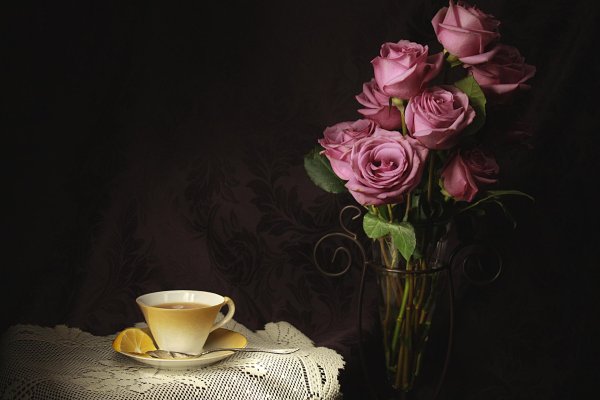 красивые натюрморты