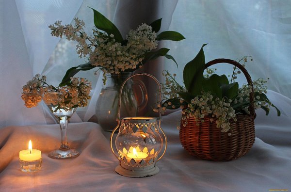 теплого весеннего вечера