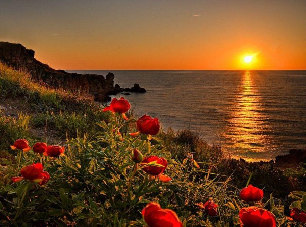 чудесный закат