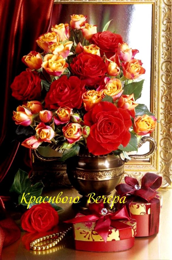 добрый вечер с розами