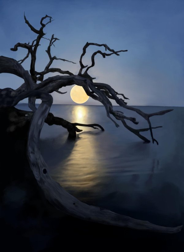 удивительная природа