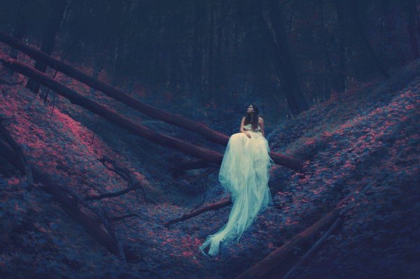 сказочный фотограф катерина плотникова