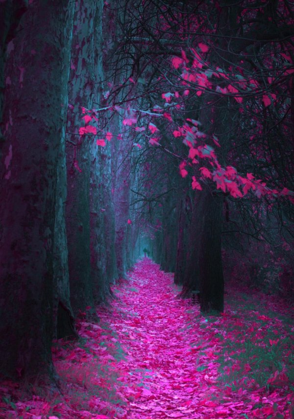 мистические пейзажи