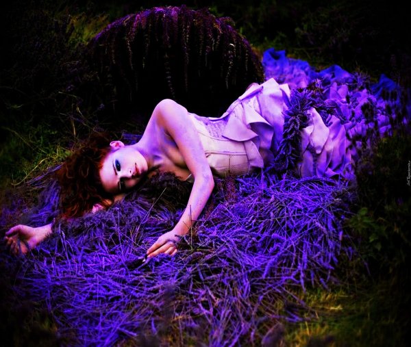 кирсти митчел