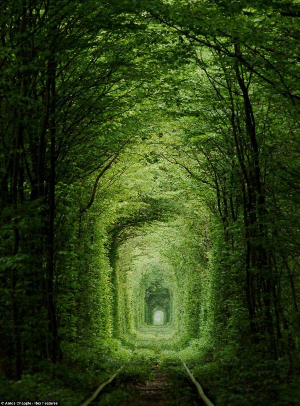 tunnel of love