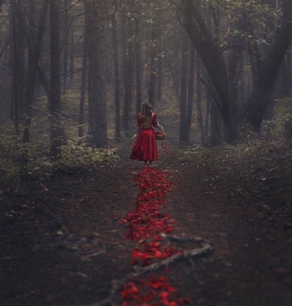 фотосессии в лесу