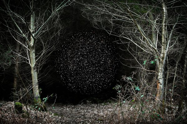 лес загадочный