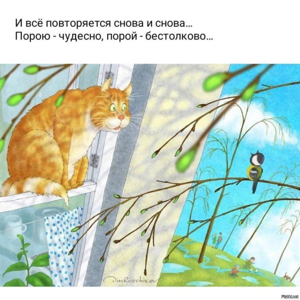 рисованные коты