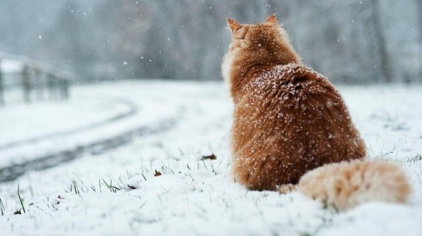 небольшой снег