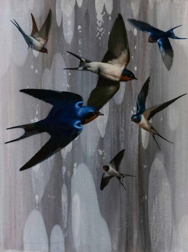 ласточка иллюстрация