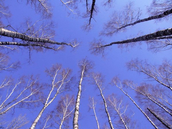 весеннее небо