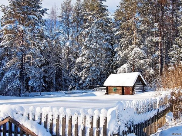 русская природа зимой