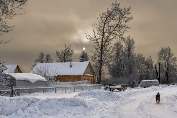 зимние деревенские пейзажи