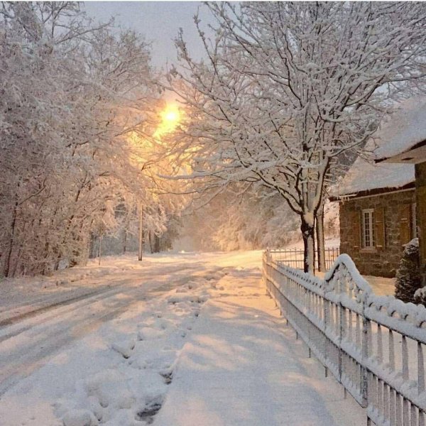 зимние пейзаж