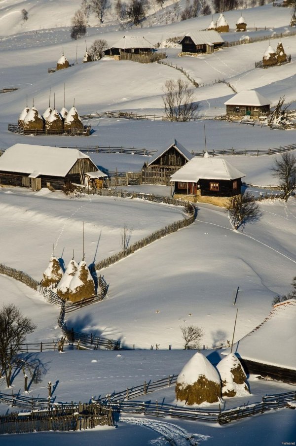 зимние пейзаж