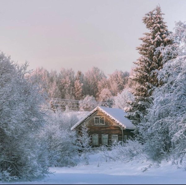 красивые зимние деревенские пейзажи