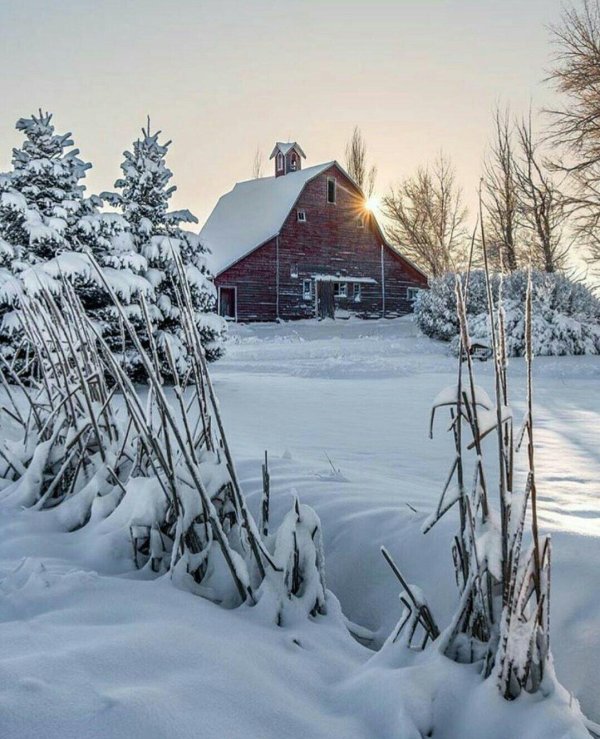 winter barn