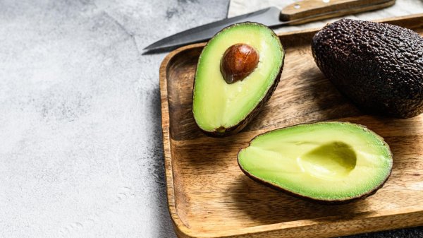 семя авокадо