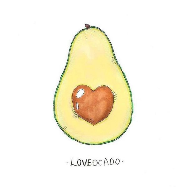 красивые рисунки авокадо