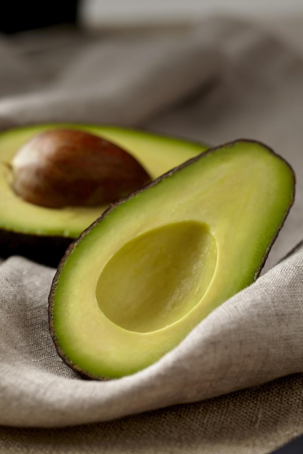 авокадо сорт